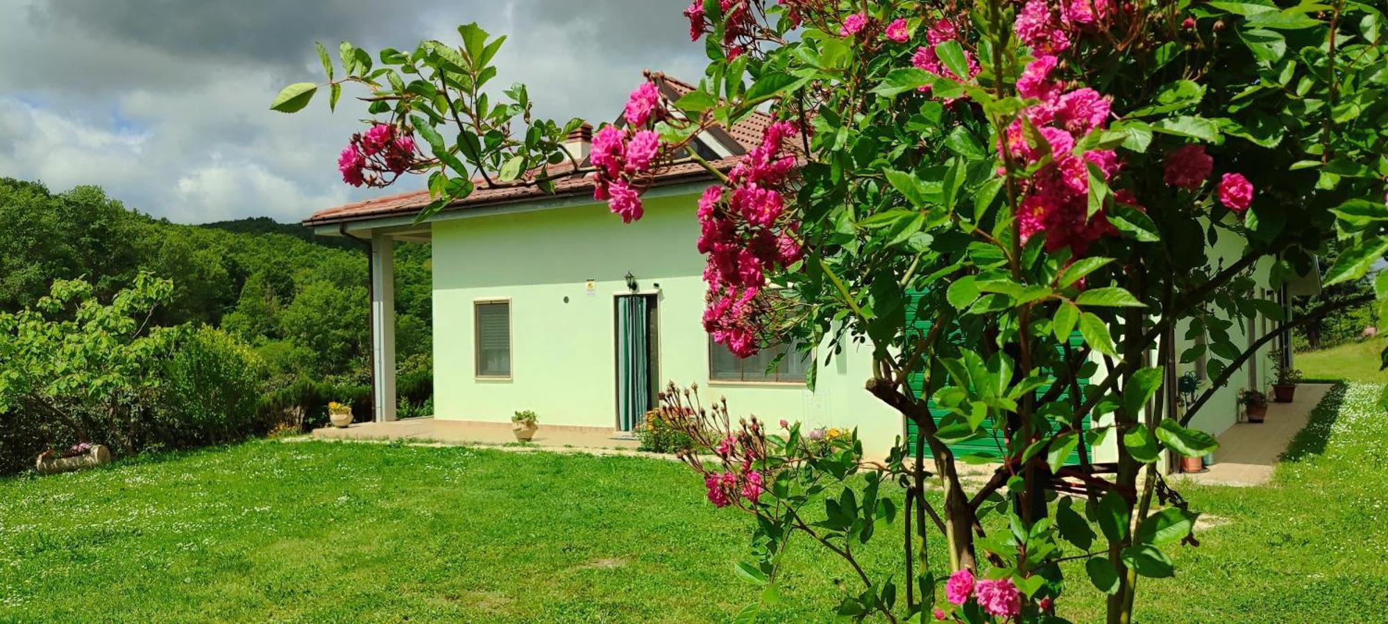 Pia'S House Garden Appartement Campobasso Buitenkant foto